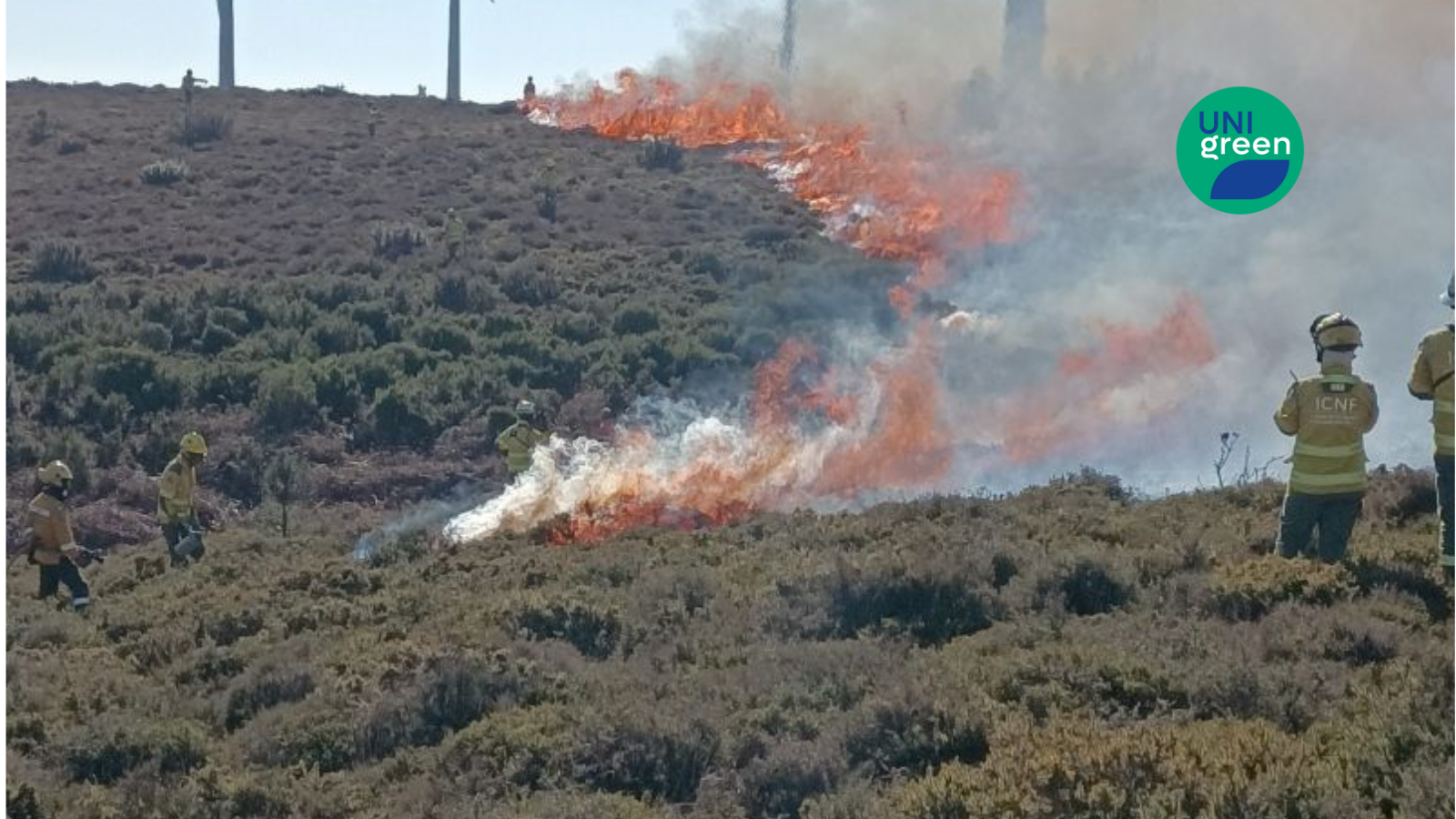 PUC’s Agricultural School is accredited 7 micro-credentials in the fire area