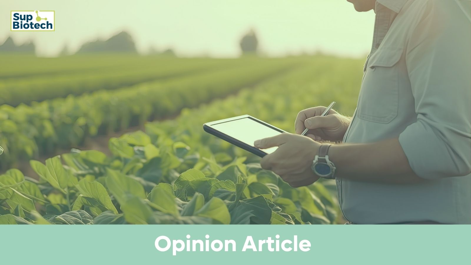 Back to Roots Biology at Heart of Sustainable and Resilient Agriculture